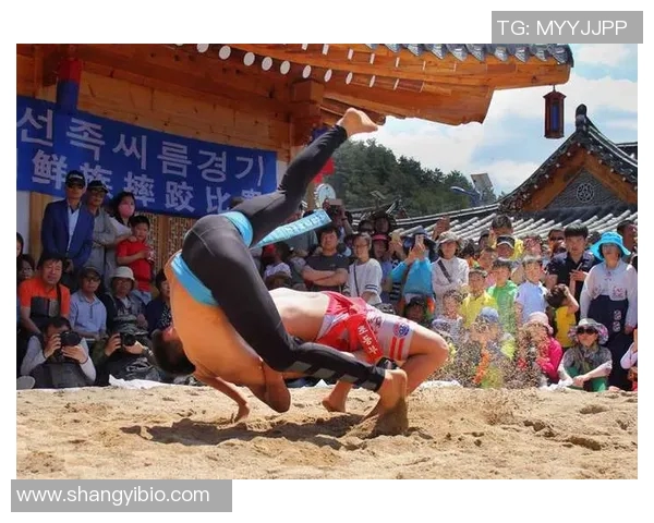 朝鲜体育明星排行榜前十名揭晓他们的辉煌成就与影响力分析 朝鲜体育明星排行榜前十名揭晓他们的辉煌成就与影响力分析