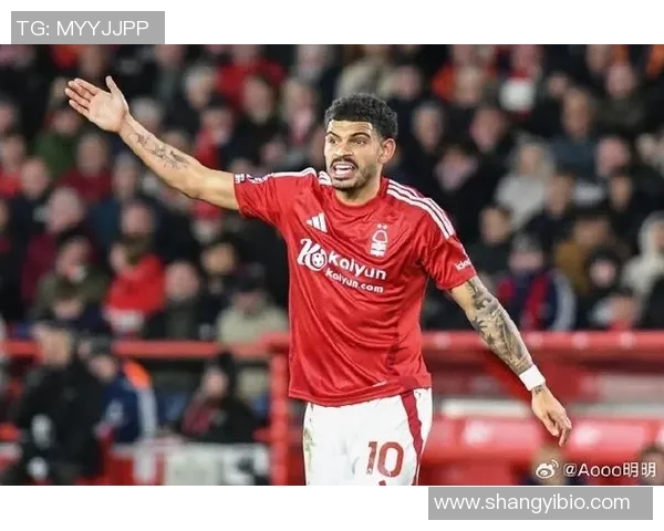 吉布斯足球明星排名揭晓谁将成为本年度最佳球员的热门人选 吉布斯足球明星排名揭晓谁将成为本年度最佳球员的热门人选