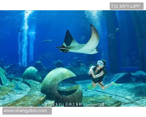 足球明星与鱼的奇妙瞬间高清图片合集展现运动与自然的完美结合