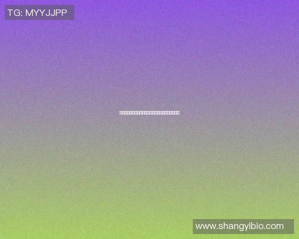 格雷米与累西腓的激烈对决揭示巴西足球的魅力与挑战 格雷米与累西腓的激烈对决揭示巴西足球的魅力与挑战