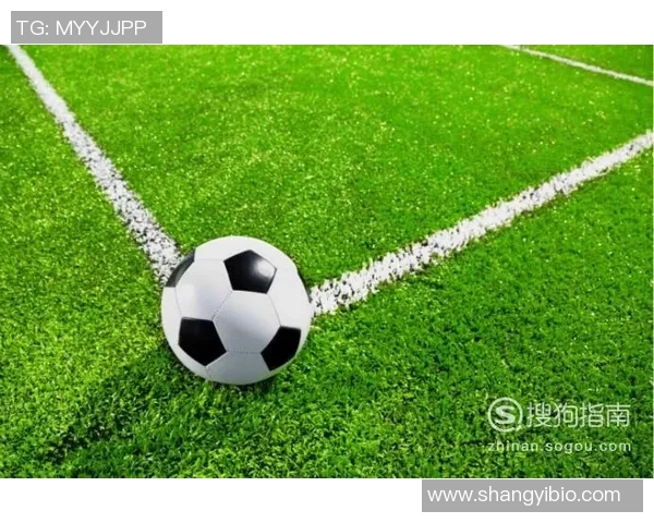 全面解析各种体育器材及其功能与用途的指南