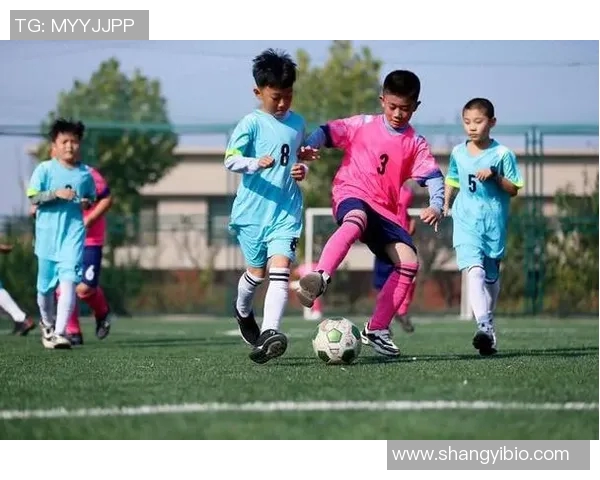 幼儿园体育培训心得体会与实践反思促进儿童全面发展的探索之路