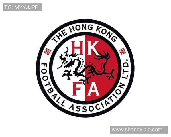 香港足球明星队主题曲激励团结奋进展现梦想与荣耀的旋律 香港足球明星队主题曲激励团结奋进展现梦想与荣耀的旋律
