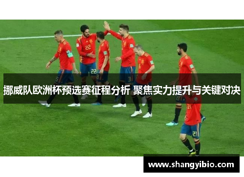挪威队欧洲杯预选赛征程分析 聚焦实力提升与关键对决