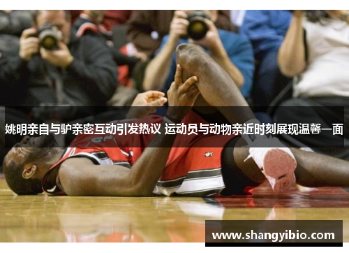 姚明亲自与驴亲密互动引发热议 运动员与动物亲近时刻展现温馨一面