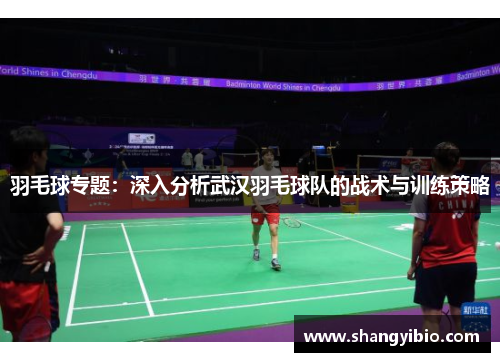 羽毛球专题：深入分析武汉羽毛球队的战术与训练策略