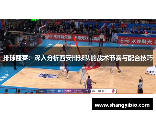 排球盛宴：深入分析西安排球队的战术节奏与配合技巧