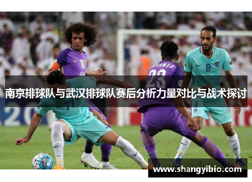 南京排球队与武汉排球队赛后分析力量对比与战术探讨