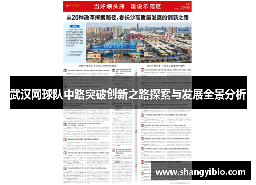 武汉网球队中路突破创新之路探索与发展全景分析