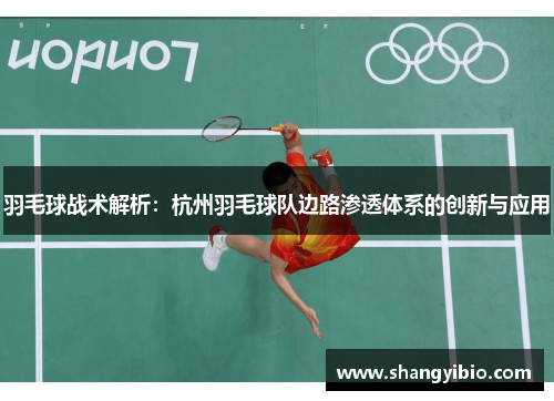 羽毛球战术解析：杭州羽毛球队边路渗透体系的创新与应用