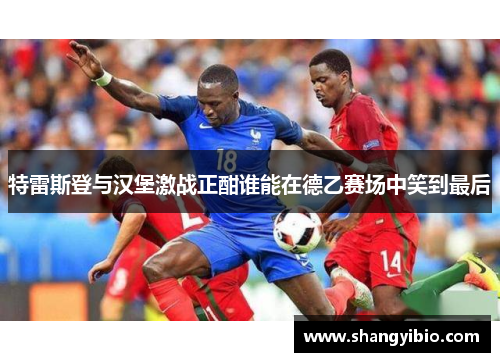 特雷斯登与汉堡激战正酣谁能在德乙赛场中笑到最后